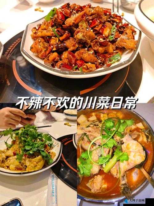 NP 巨肉高辣：带你领略独特风味的美食盛宴之旅